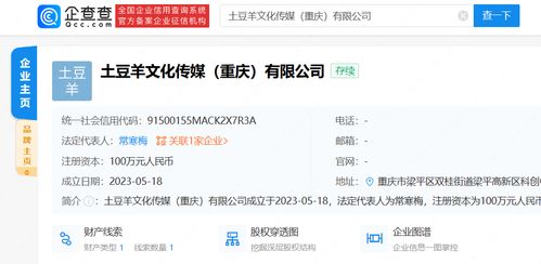 透视网络文化经营的迷与路